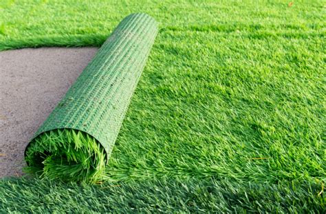 How to incorporate magical carpet grass into your outdoor living space